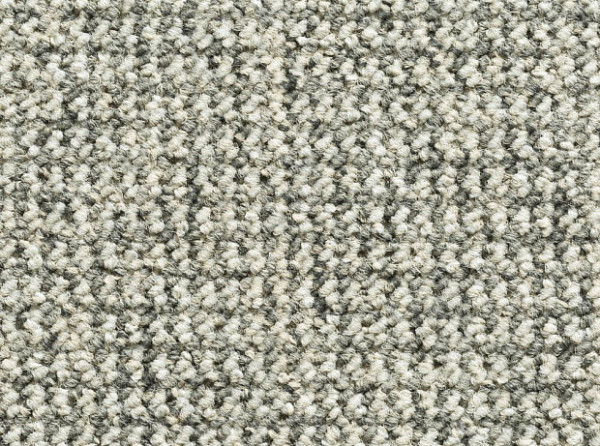 Фото - ковролина dynamic 71 (condor)